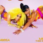 Shenseea & Megan Thee Stallion dropped Lick